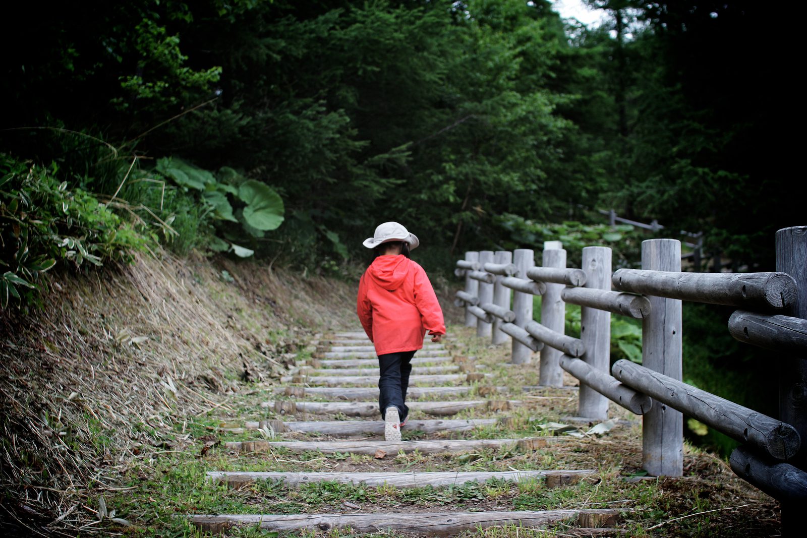A child in a red jacket climbing forest steps