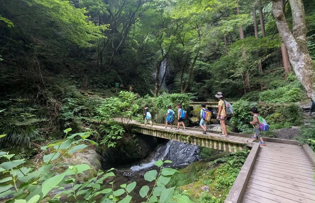 Children with backpacks crossing a wooden bridge on a forest walk